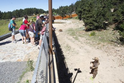 Naturlandia reobre al públic amb noves mesures de seguretat