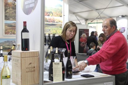 Els cellers veuen en el turisme del vi un sector per a créixer