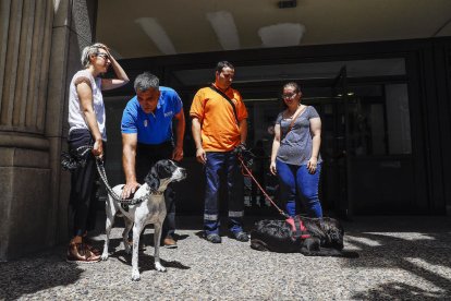 Laika denuncia la impunitat en el maltractament d'animals