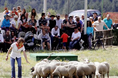 El comú només contempla l'inici immediat de les obres de la plataforma