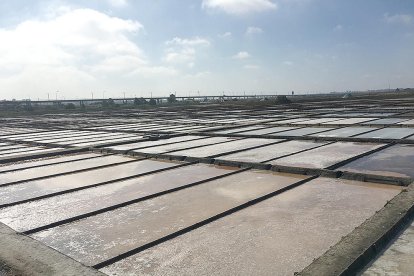 La Venècia de Portugal