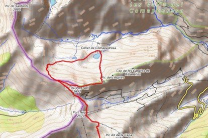 Vistes al Comapedrosa