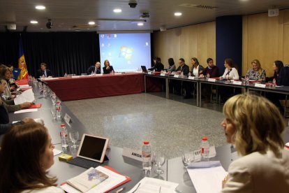 Un moment de la reunió del Consell Nacional de la Discapacitat