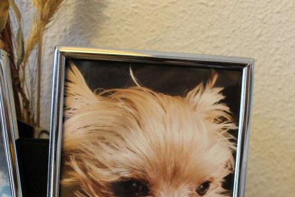 Els imprescindibles de Natàlia Solà