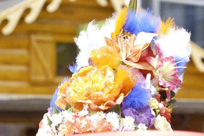 Plantes i flors a dojo