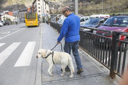 Gossos que treballen