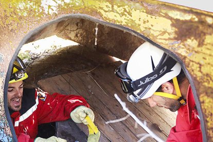 Gossos que treballen