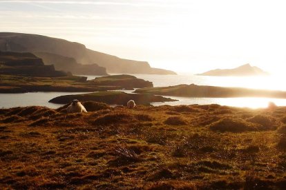 Any sabàtic i alhora solidari