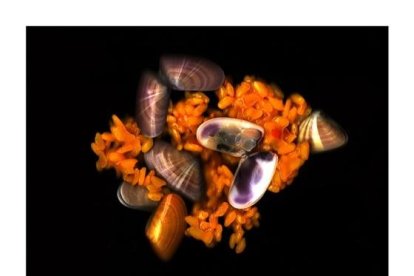 L'experiment d'un periodista amb un escàner i aliments