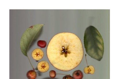 L'experiment d'un periodista amb un escàner i aliments