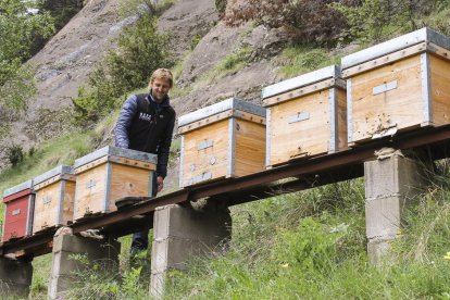 Garants de les abelles