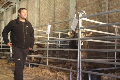 'Madriu' es converteix en el semental desitjat