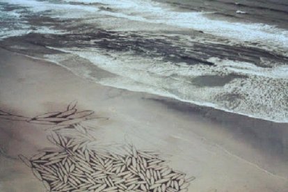 Obres d'art de sorra que s'esborren amb la marea