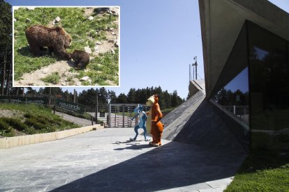 Abatut un os a Naturlandia pel risc per al cuidador