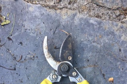 Els imprescindibles de Jordi Farré