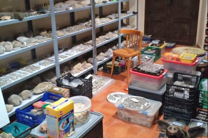 Dos detinguts per espoli i venda de peces arqueològiques falses