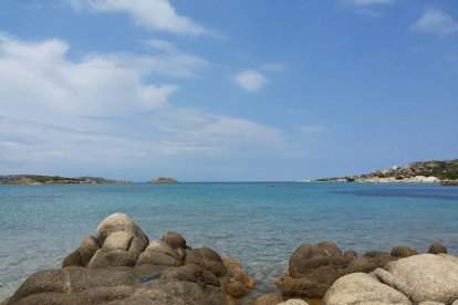 Els imprescindibles de Joan Sans Urgell