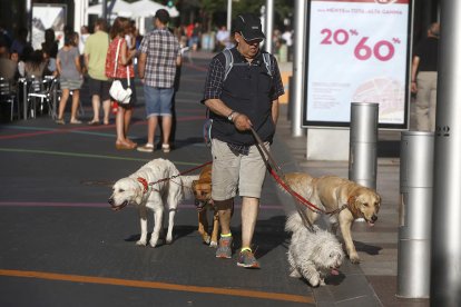 Andorra, 'pet friendly'