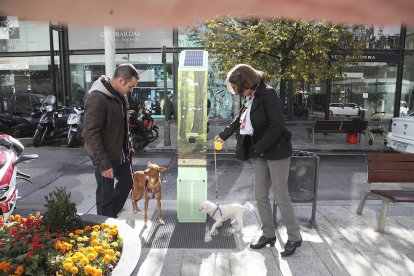 Andorra, 'pet friendly'
