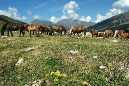Agustí Sellart, Lleida. Un paisatge que ens arriba des de la Vall d'Aran. “Passejant per la muntanya, res millor per recarregar les piles i després ja ho veurem”, explica l'autor.