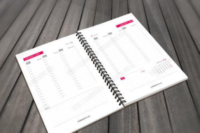 Els imprescindibles de Meritxell Palmitjavila