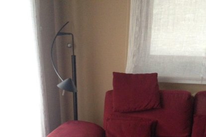 Els imprescindibles de Roser Suñé