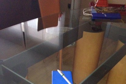 Els imprescindibles de Roser Suñé