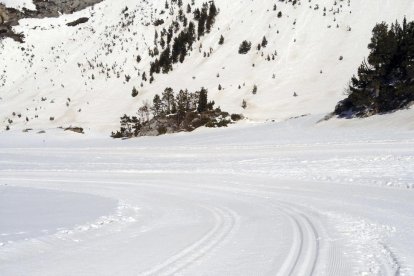 Els imprescindibles de Roser Suñé