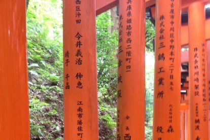 Els imprescindibles de Roser Suñé