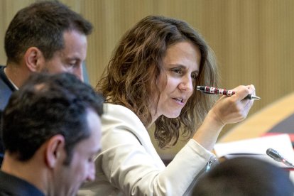 Rosa Gili al consell General