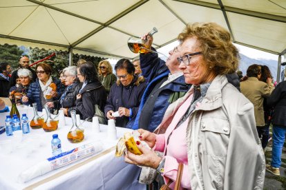 Celebració de la diada de Sant Miquel d'Engolasters