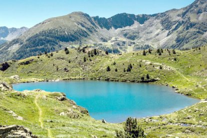 Els imprescindibles de Marc Romera