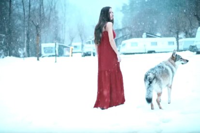 Llops, 'mobbing' i música indie