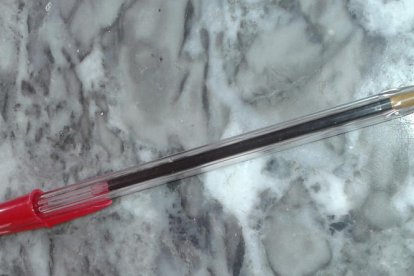 Els imprescindibles de Roser Carol