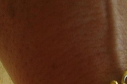 Els imprescindibles de Roser Carol