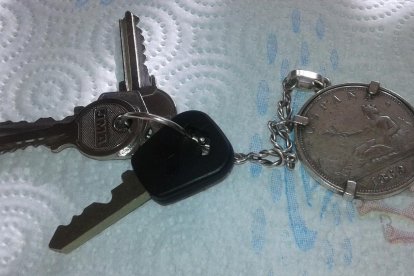 Els imprescindibles de Roser Carol