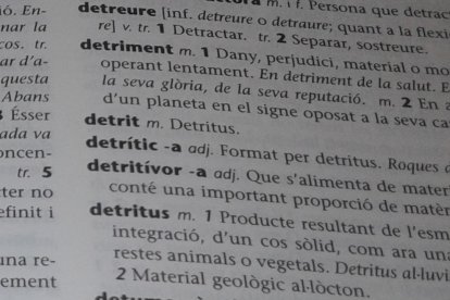 Els imprescindibles de Roser Carol