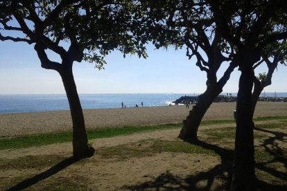 Els imprescindibles de Roser Carol