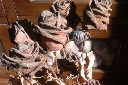 Els imprescindibles de Roser Carol