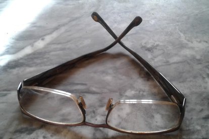 Els imprescindibles de Roser Carol