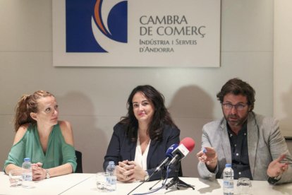 Projecte per fer una macroassociació comercial