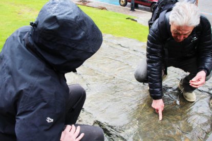 Remolins defensa el dret “a accedir a qualsevol lloc públic obert”