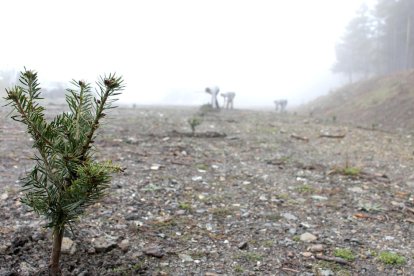 “Intervenim quan realment hi ha un problema”