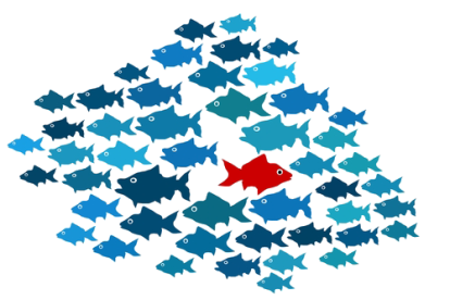 Els imprescindibles d'Antoni Morell