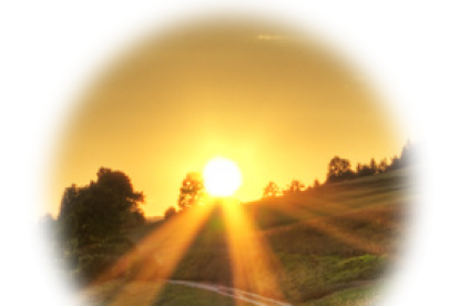 Els imprescindibles d'Antoni Morell