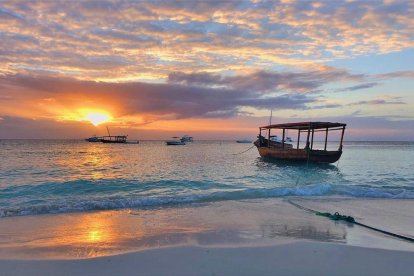 Tercer premio. Ariadna Fenes Areny