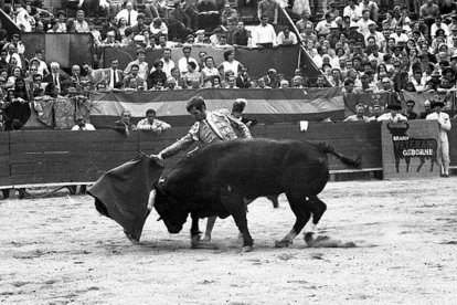 Les lliçons del mestre