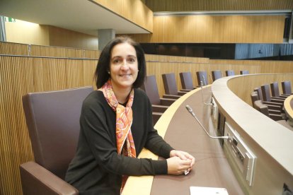 “El tràmit d'urgència es va fer per treballar, no per anar més ràpid”