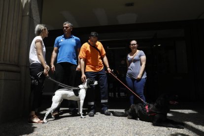 Primer judici al Tribunal de Corts per un delicte de maltractament animal greu