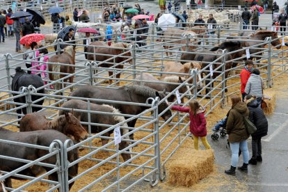 “Les nostres arrels”